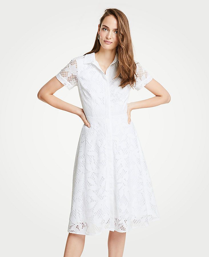 Petite Floral Lace Shirtdress | Ann Taylor (US)