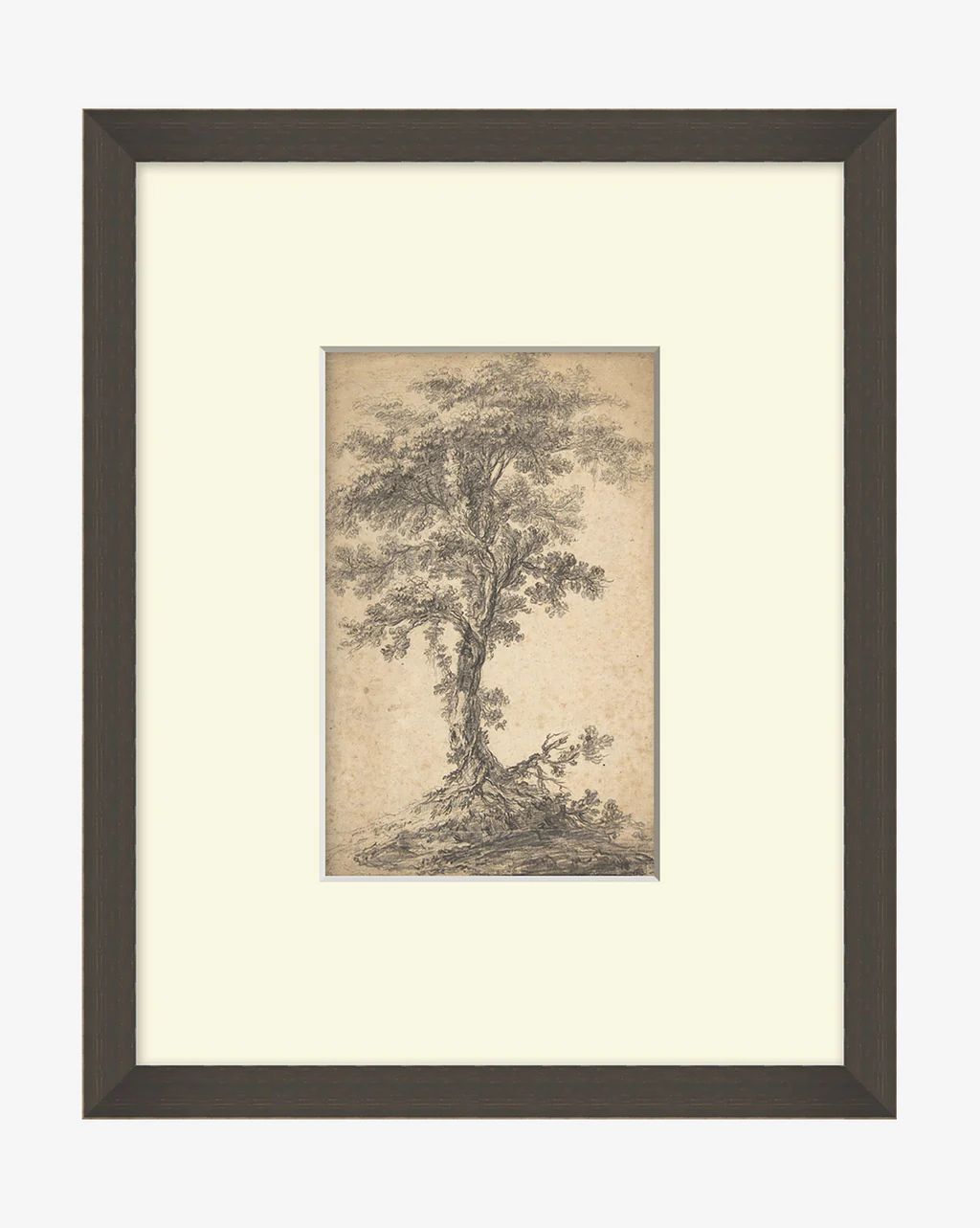 Tree on a Hilltop | McGee & Co.