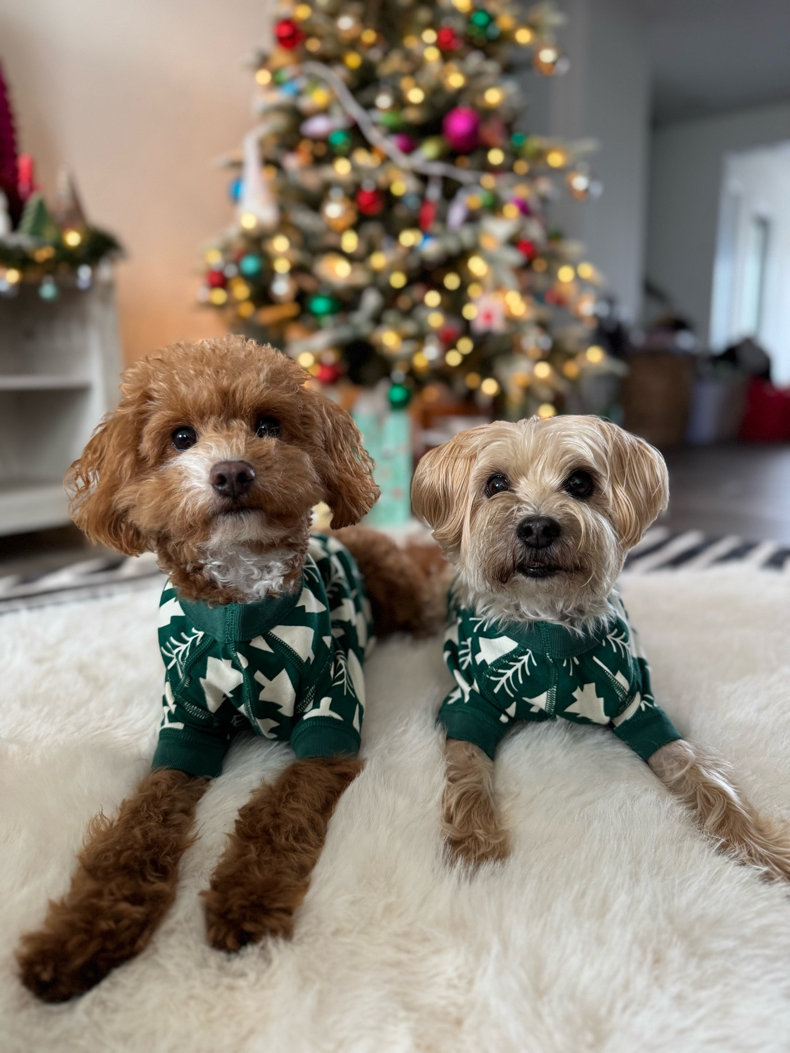 The cutest holiday pajamas for the whole family including your dogs

#LTKHoliday