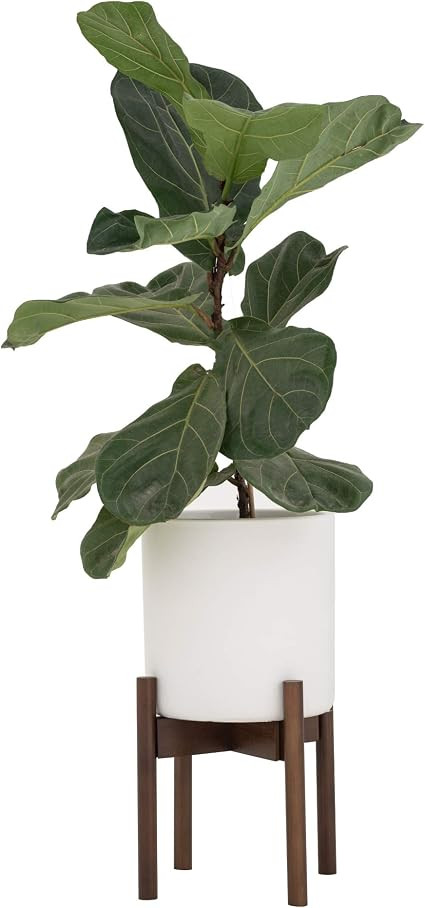 Sona Home Adjustable Mid Century Plant Stand, Available in 3 Sizes, 3 Colors - Modern Plant Stand... | Amazon (US)