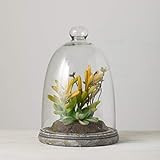 Sullivans Artificial Succulent Arrangement in Glass Cloche with Patina Base, 9.5 Inches High (DOT153 | Amazon (US)