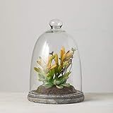 Sullivans Artificial Succulent Arrangement in Glass Cloche with Patina Base, 9.5 Inches High (DOT153 | Amazon (US)