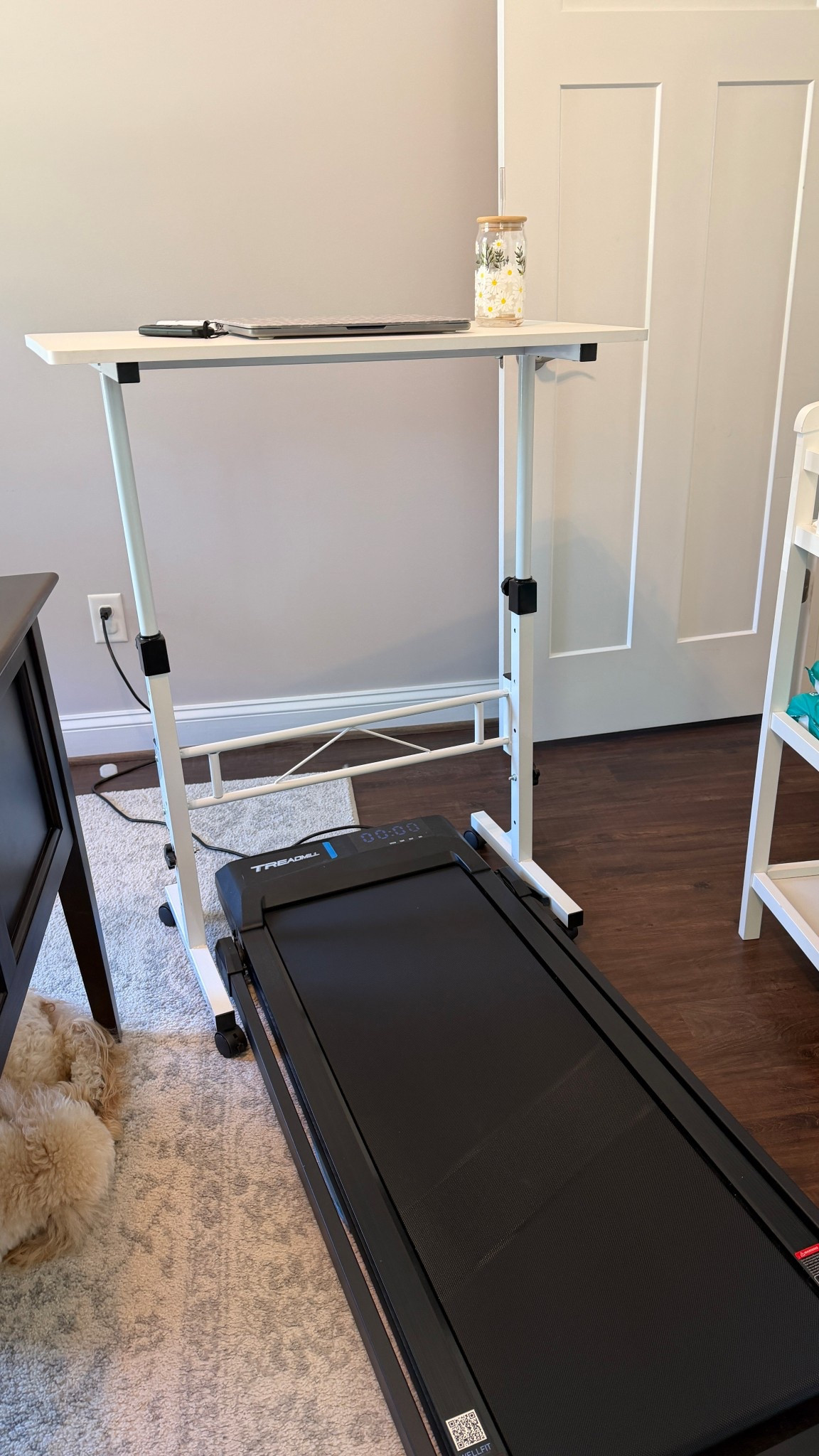 Walking pad and standing desk set up at home!! 

#LTKWorkwear #LTKfitnessgoals #LTKmomlife