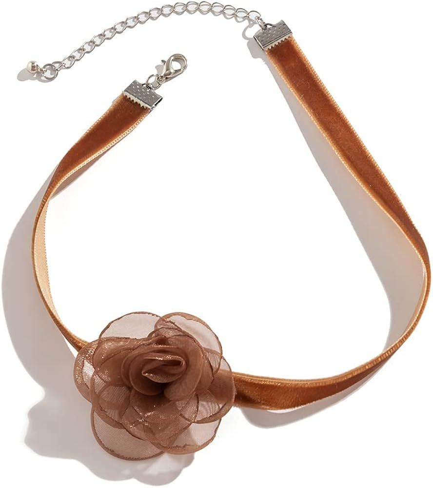 Bethynas Vintage Flower Lace Velvet Choker Necklace Lolita Sexy Rose Lace Collar Neck Chain Brida... | Amazon (US)