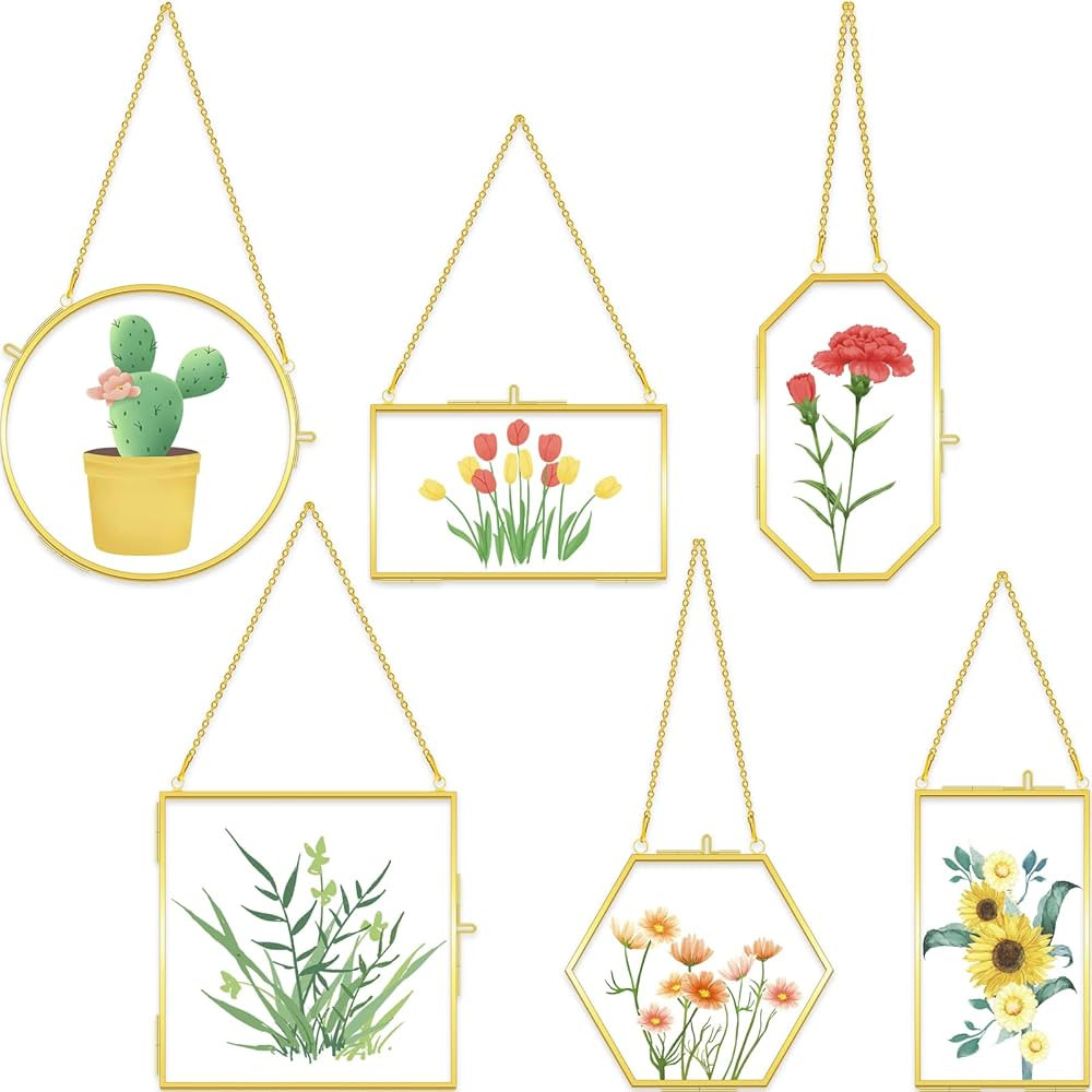 6 Pcs Brass Glass Frame for Pressed Flowers Hanging Picture Frames with Chain Clear Double Glass ... | Amazon (US)