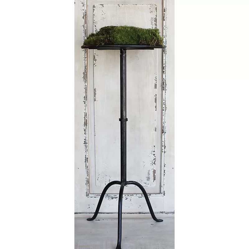 Doster Pedestal End Table | Wayfair North America