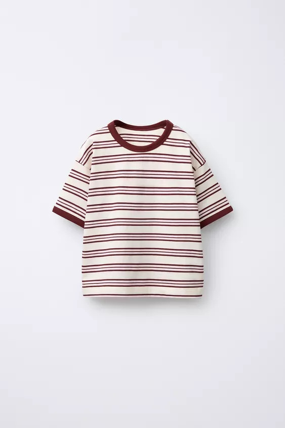 ZARA TIMELESS - STRIPED T-SHIRT WITH CONTRAST TRIM | Zara US