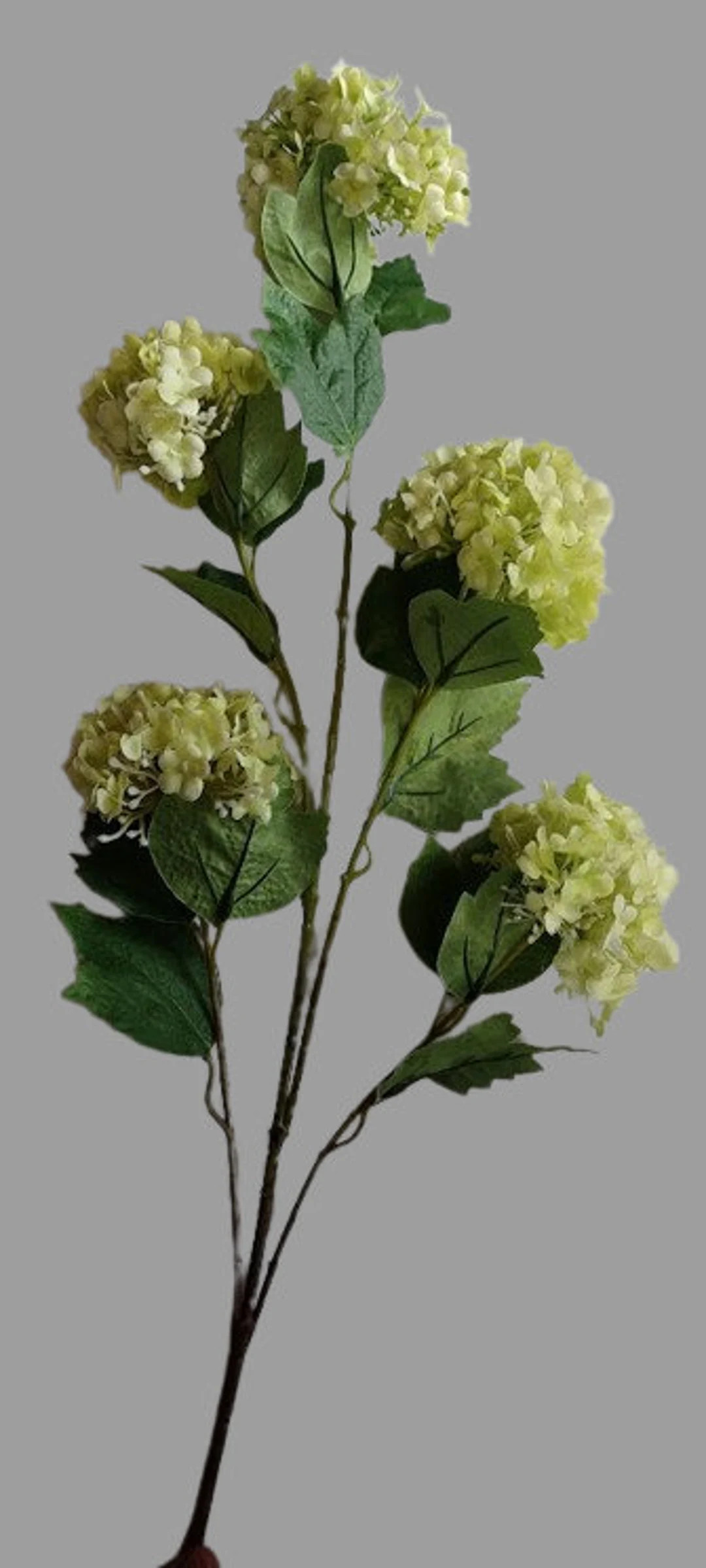 Artificial Real Touch Hydrangea Stem LIME GREEN - Etsy | Etsy (US)