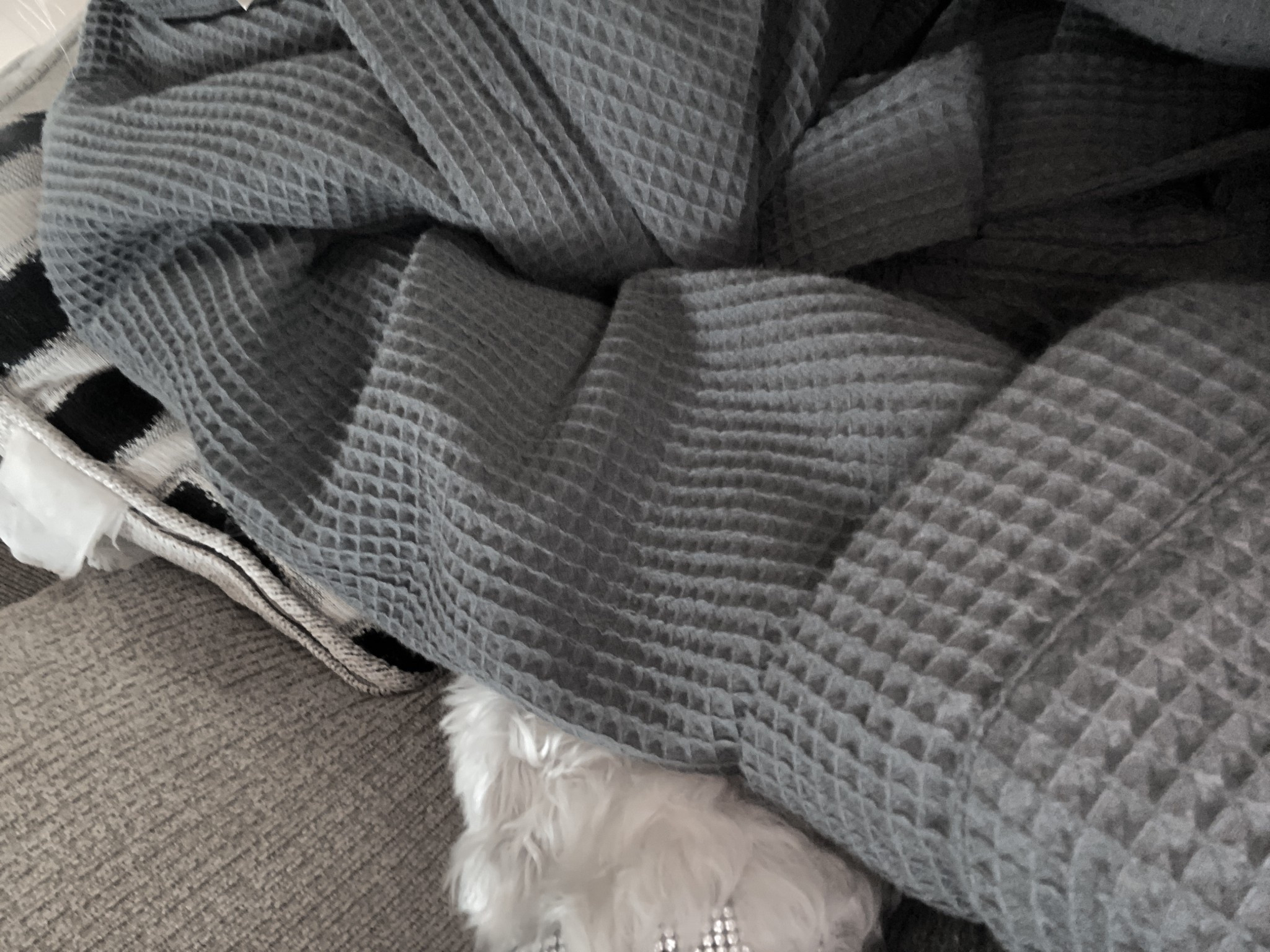 💰LTK💰
fabulous find. the most comfortable waffle robe — and it gets softer with every wash.
this is the one. trust me.


#LTKActive #LTKmomlife #LTKselfcare