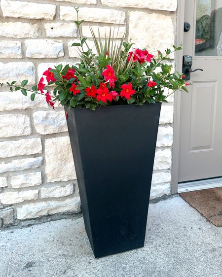 Amazon tall planter for outdoor plants! These are great quality! We kept them outside all during winter and they still look perfect 🙌🏼



#LTKFamily #LTKSeasonal #LTKHome