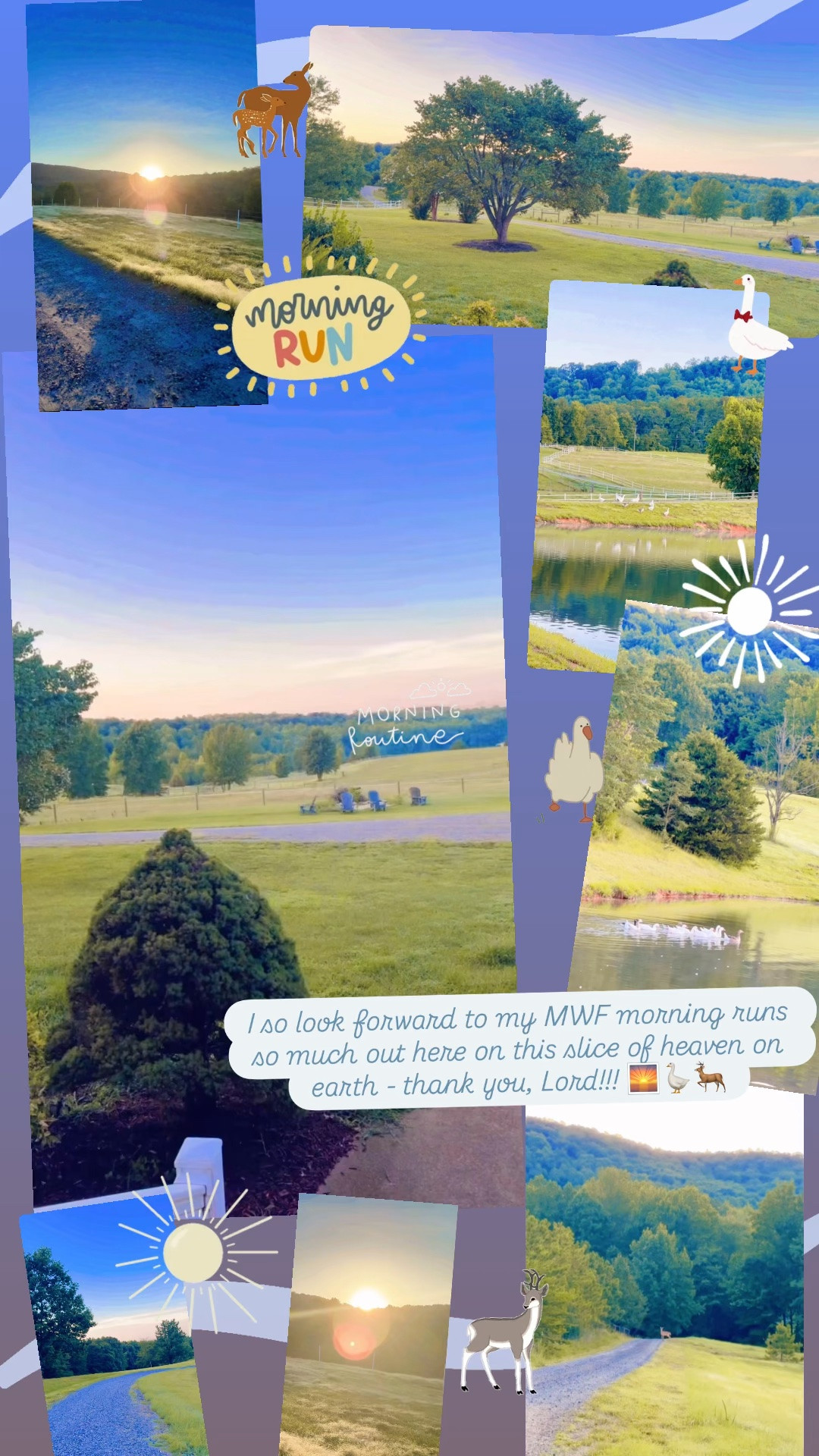 I so look forward to my MWF morning runs so much out here on this slice of heaven on earth - thank you, Lord!!! 🌅🪿🦌