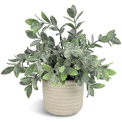 Hopewood Faux Plants, Small Fake Plant for Bathroom, Decorative Artificial Plants for Farmhouse Desk Shelf Decor with A Weave Basket (9.8inch) | Amazon (US)