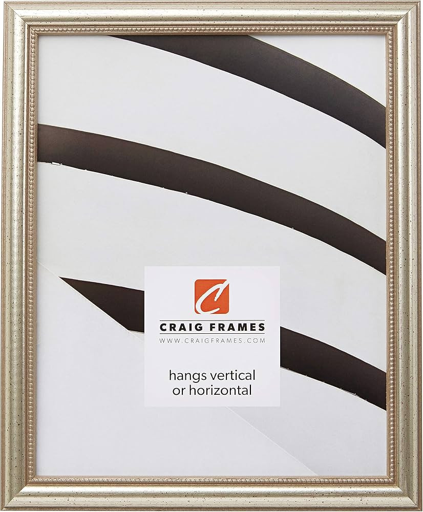 Craig Frames Stratton, 14x18 Picture Frame, Aged Pewter | Amazon (US)