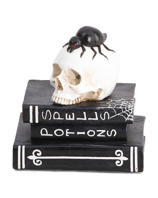 9.25n Resin Skull On Book | TJ Maxx