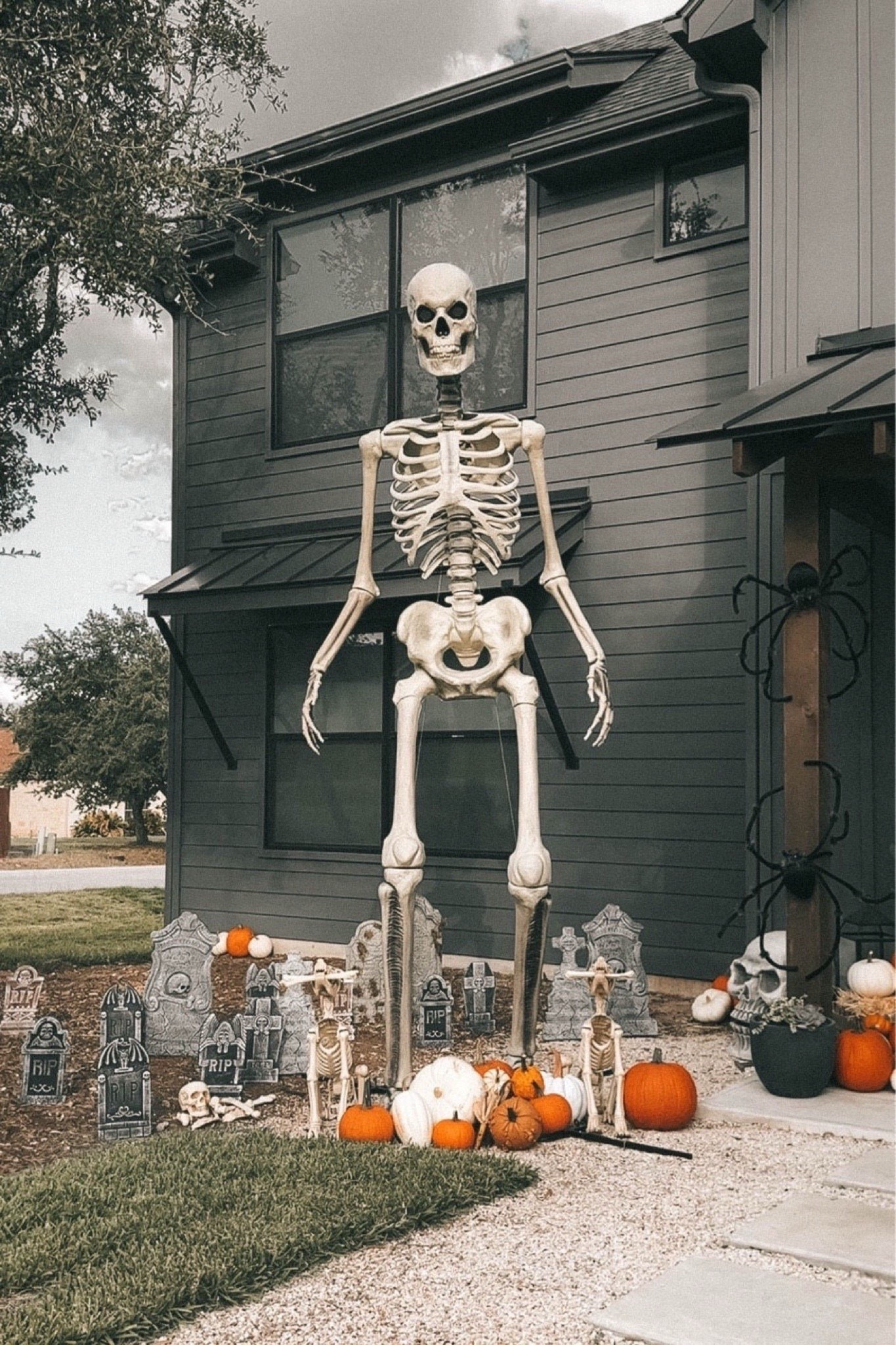 My 12ft skeleton is still in stock!!

#LTKSeasonal #LTKHome