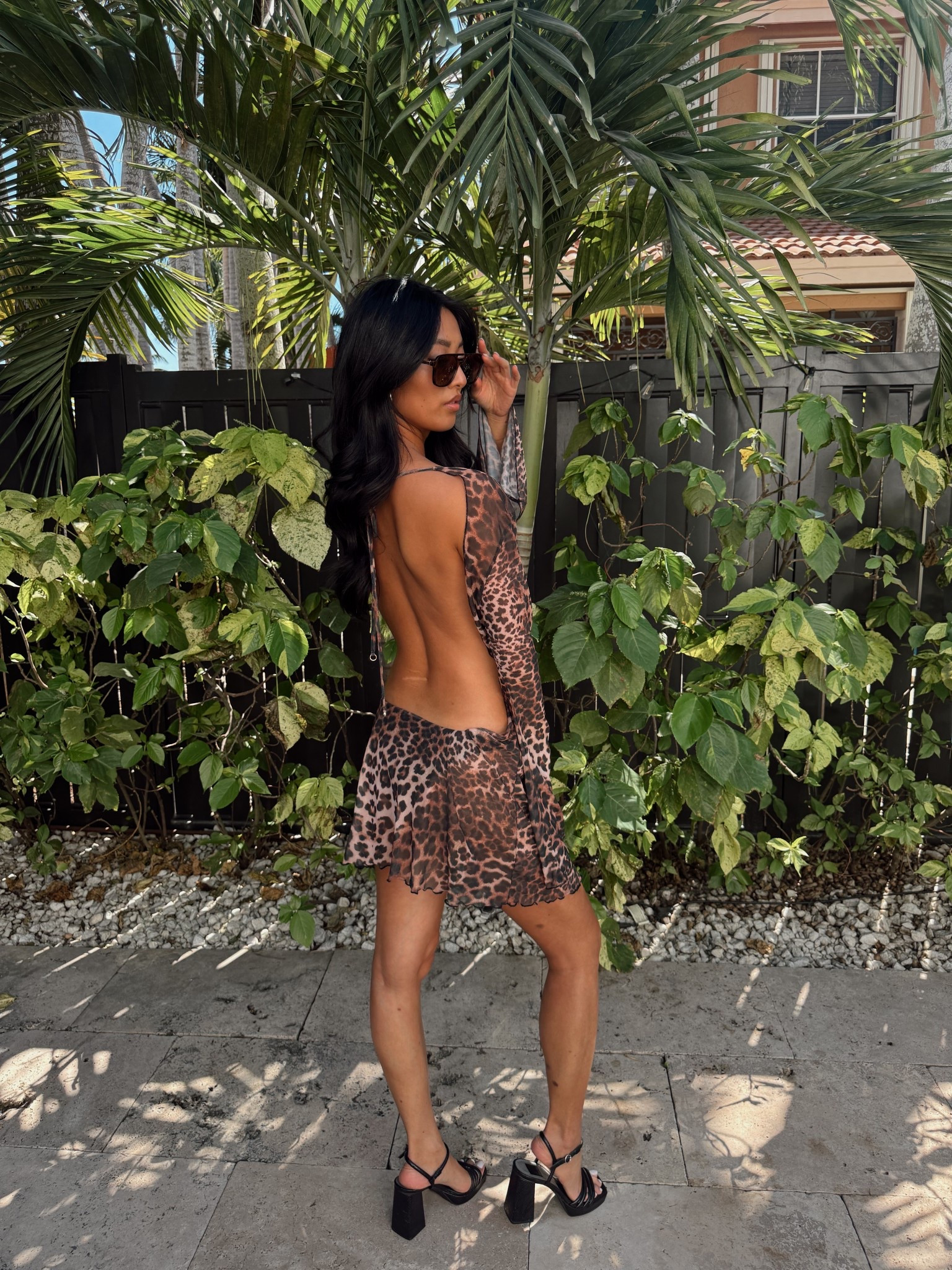 🐆🐆🐆🐆