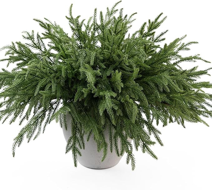 MISSPIN 12 Pcs 19.5 Inches Christmas Norfolk Pine Branches, Norfolk Pine Artificial Christmas Bra... | Amazon (US)