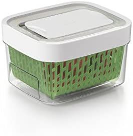 OXO GreenSaver Produce Keeper - Small -Green | Amazon (US)