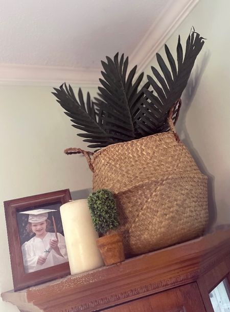 Artificial palm trees and boho style plant pot & basket 

#LTKitbag #LTKhome #LTKstyletip