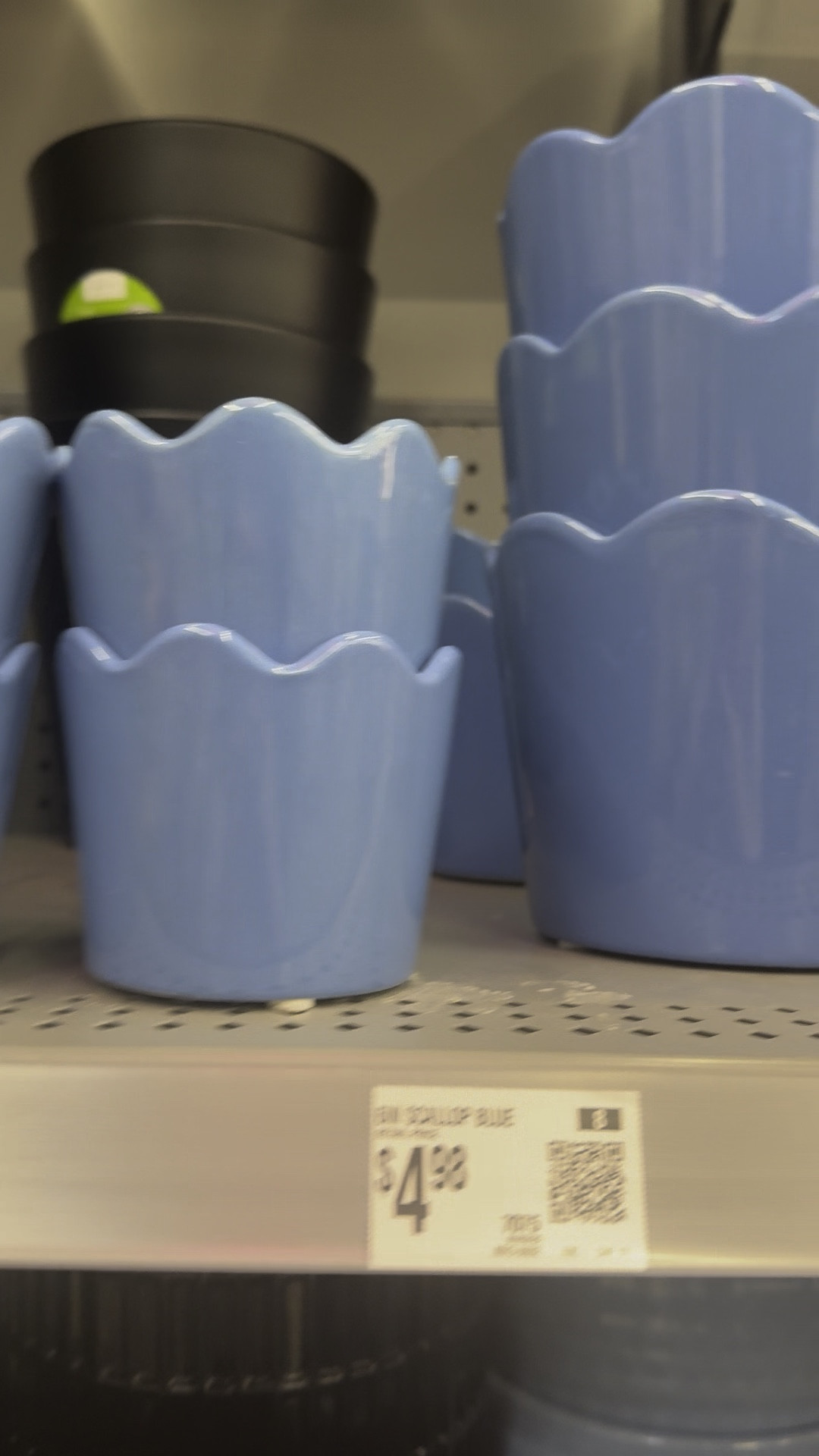 Couldn’t believe my eyes with these scalloped planters. 🤩 

#LTKhome #LTKVideo #LTKSeasonal