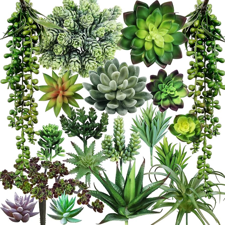 Winlyn 19 Pcs Assorted Artificial Succulents Plants Unpotted Small Green Hanging Succulent Aloe F... | Amazon (US)