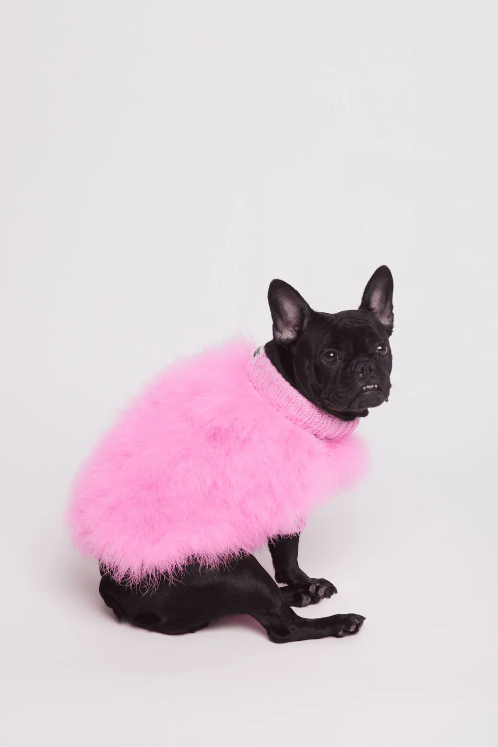 Christian Cowan x maxbone Jumper | max-bone