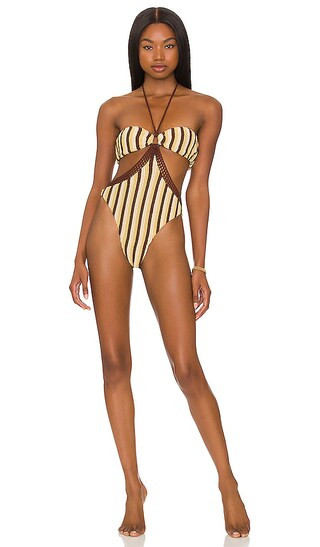Toni One Piece in Desert Valley Stripe | Revolve Clothing (Global)