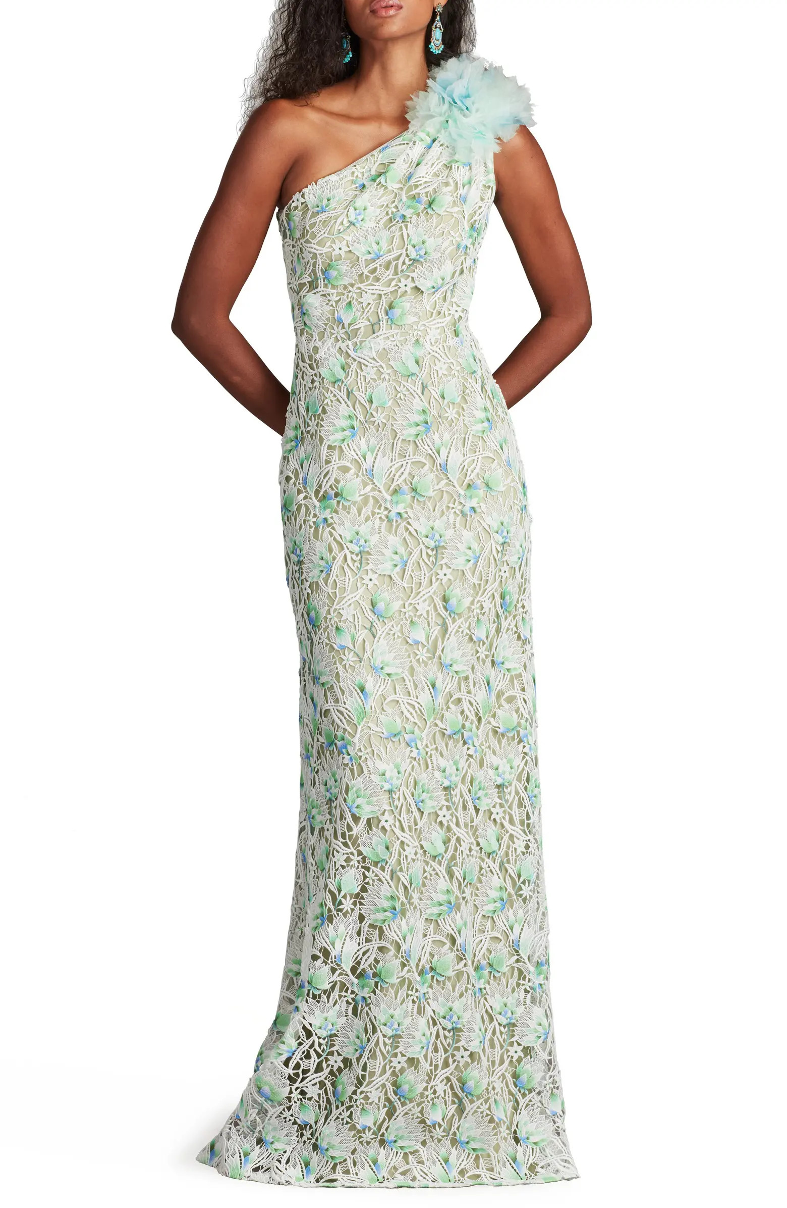 Embroidered Lace One-Shoulder Gown | Nordstrom