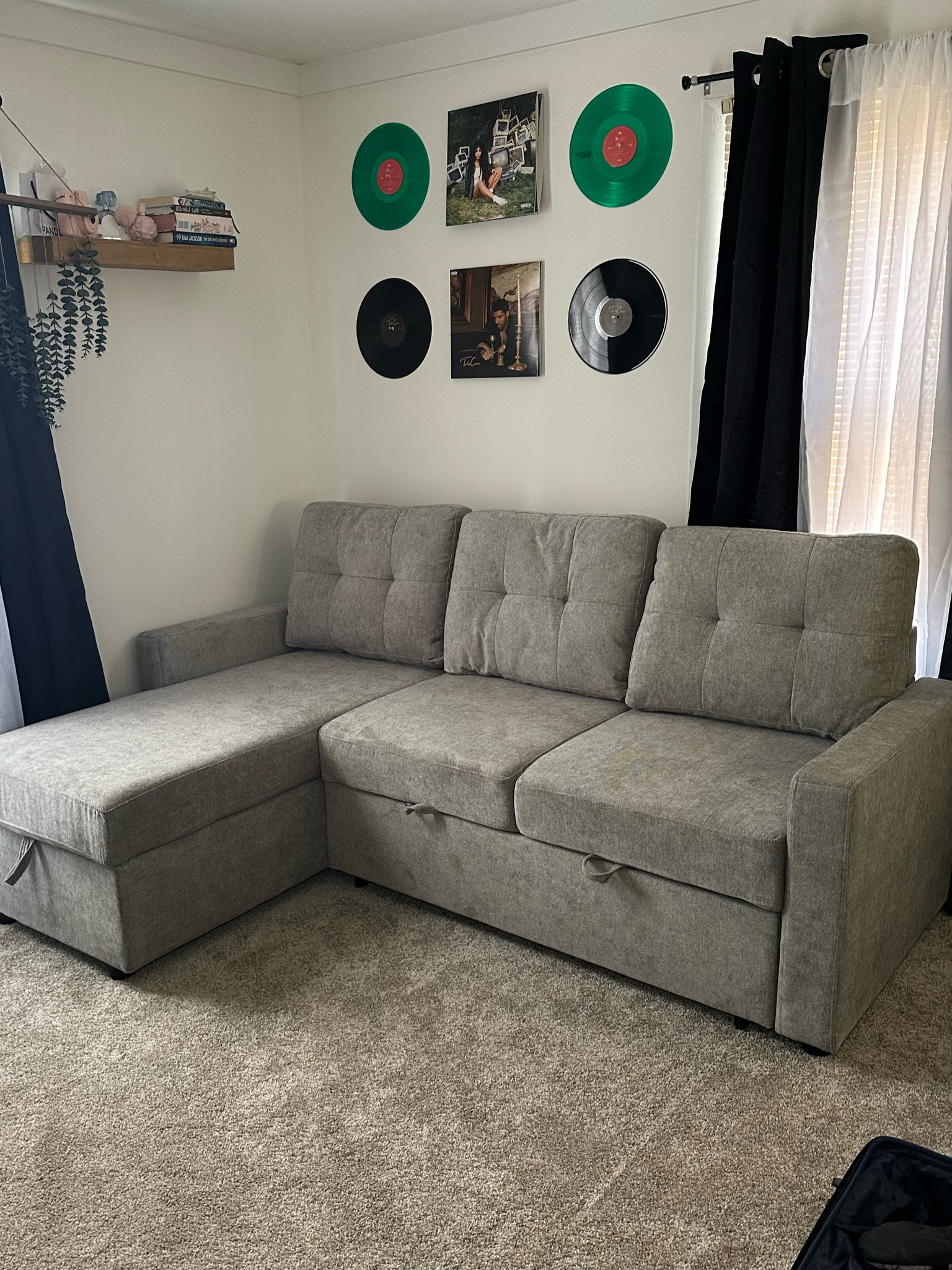 Pullout Sleeper Section Couch