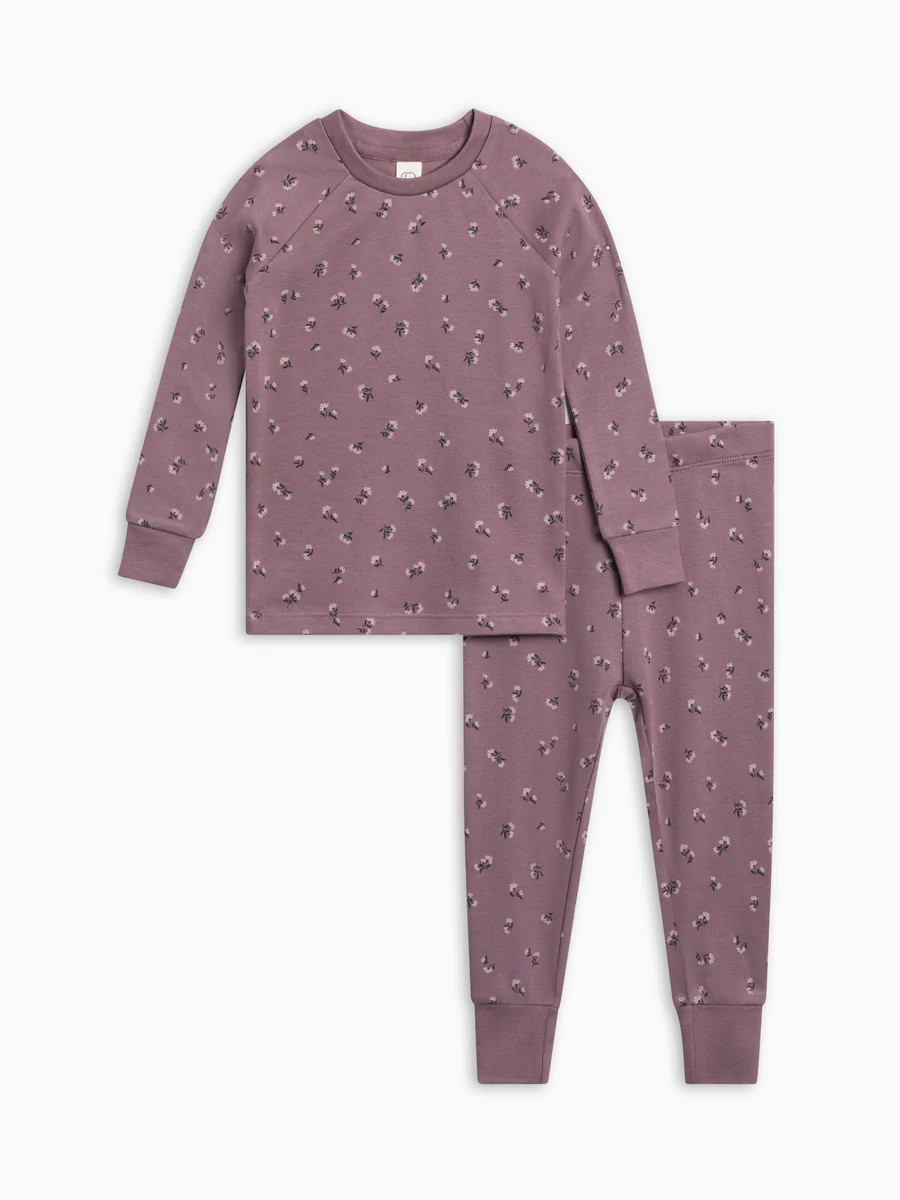2 Piece Long Sleeve Jammie Set | Colored Organics