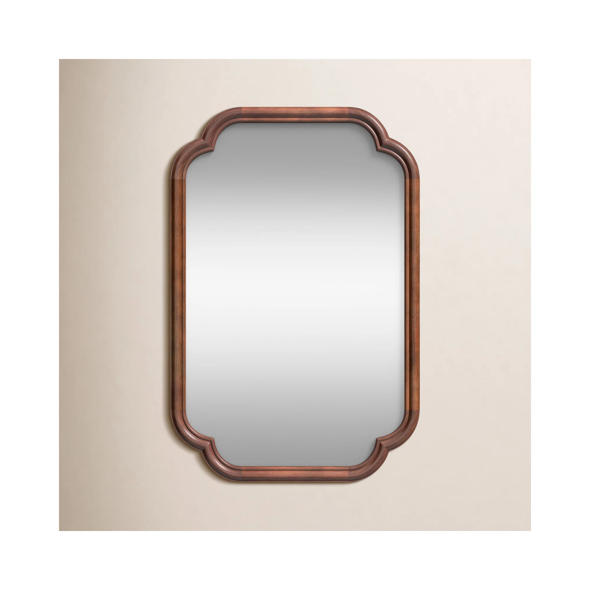 Brandis Wooden Bathroom Wall Mirror | Birch Lane