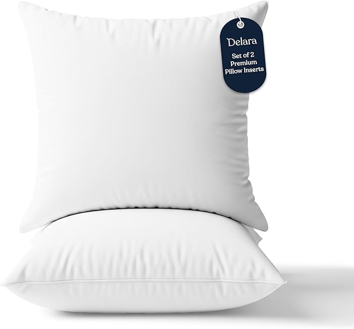 Delara Throw Pillow Inserts 24x24 Set of 2 - Organic Cotton Shell, 7D Recycled Down Alternative F... | Amazon (US)