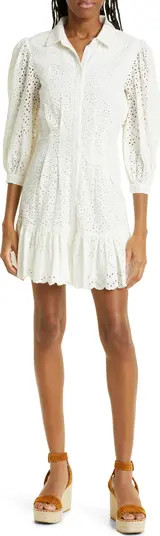 Kylan Eyelet Cotton Shirtdress | Nordstrom