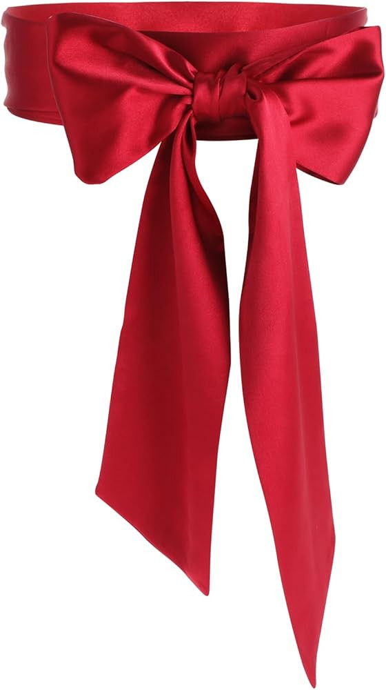 Wedding Satin Sash Belt Women Dress Sash Bridal Belt Waist Belts for Party Special Occasion 3.74'... | Amazon (US)