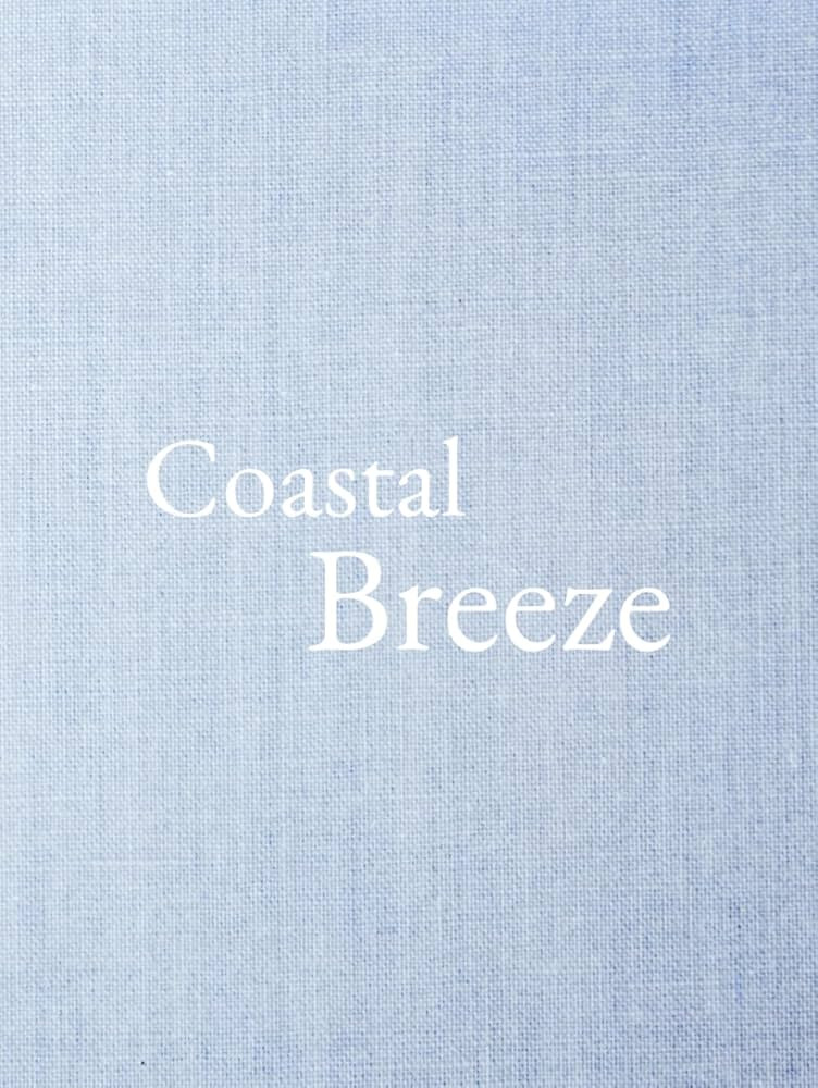Coastal Breeze: A Decorative Book with Faux Linen Cover - Coastal Style for Coffee Tables and She... | Amazon (US)