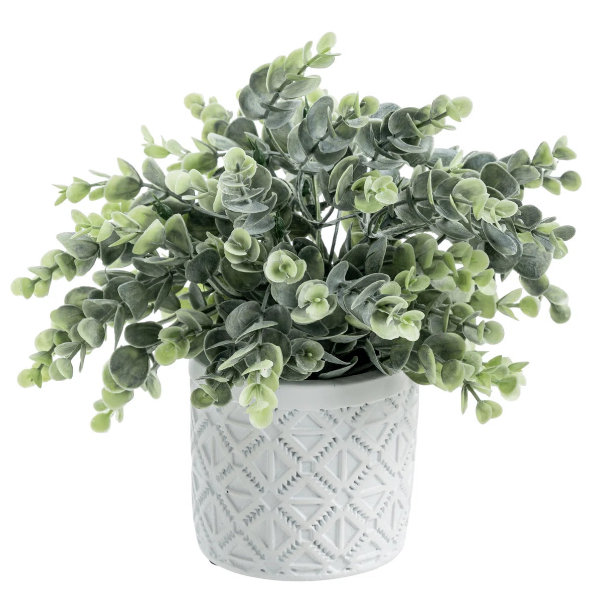 Faux Eucalyptus Boxwood Plant in White Cement Pot | Wayfair North America