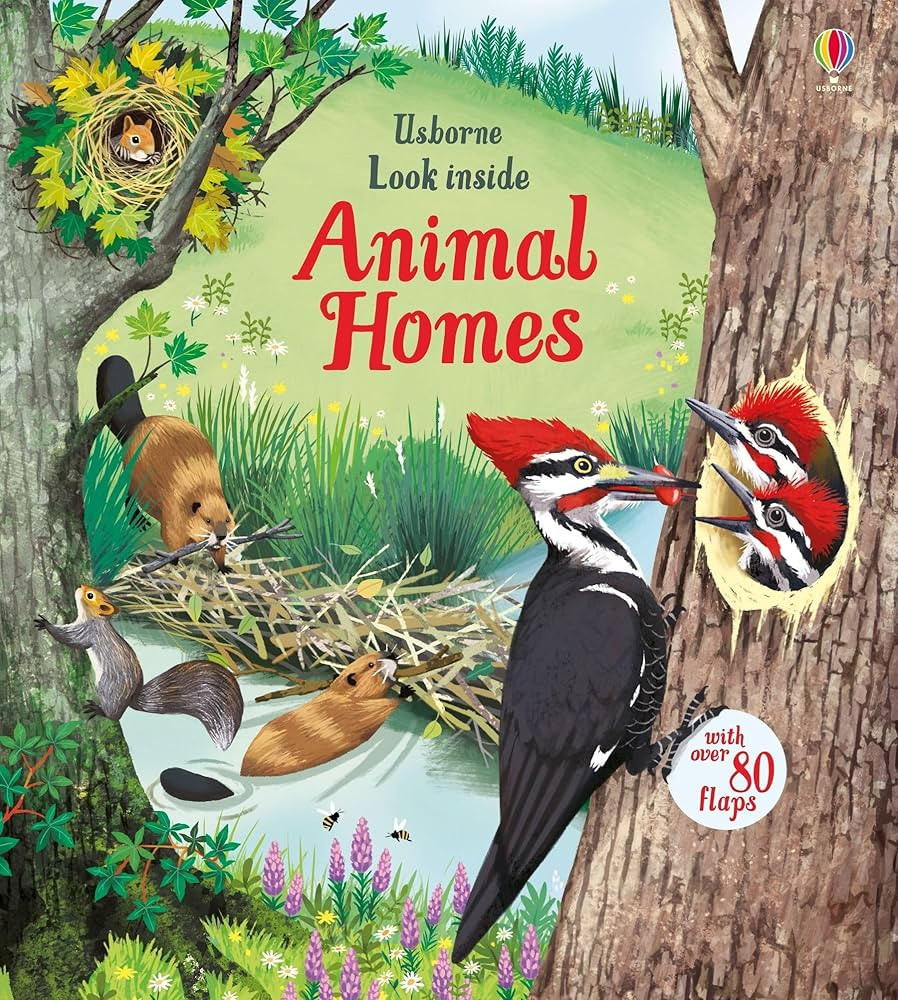 Look Inside Animal Homes | Amazon (US)