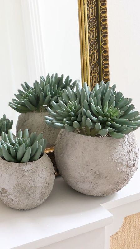 Super easy and budget-friendly concrete planters! These make gorgeous home decor pieces! I hope you can make your own! 

#LTKVideo #LTKSeasonal #LTKhome