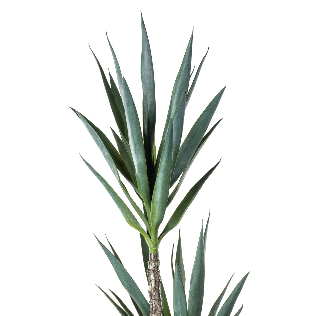 Artificial Green Yucca Tree in Black Planter Pot | Wayfair North America