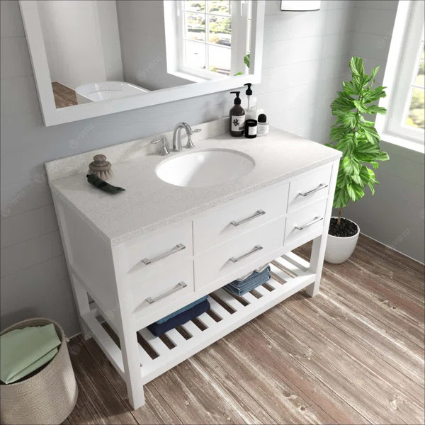 Jayly 48" Single Bathroom Vanity Set with Mirror | Wayfair Professional