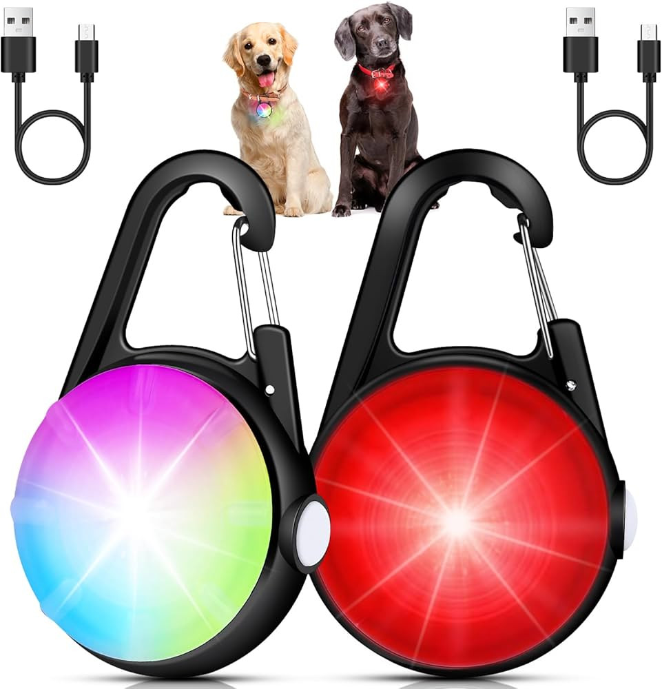 2 Pack Dog Collar Light, 4 Modes Clip On Dog Lights for Night Walking, Glow in the Dark LED Pet C... | Amazon (US)
