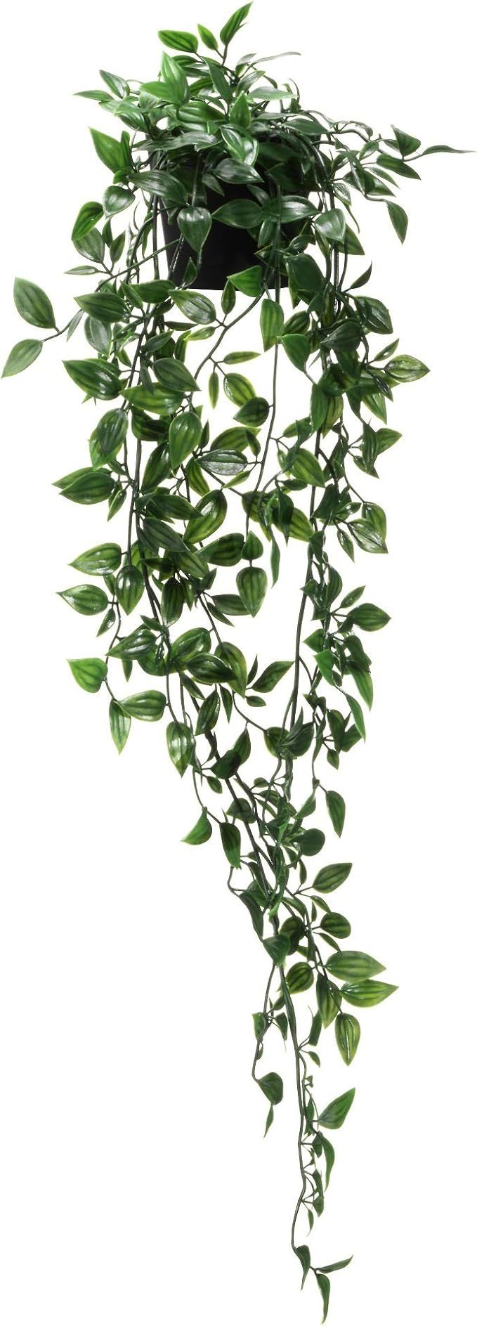 IKEA 403.495.31 Fejka Artificial Potted Plant, Indoor/Outdoor, Hanging | Amazon (UK)