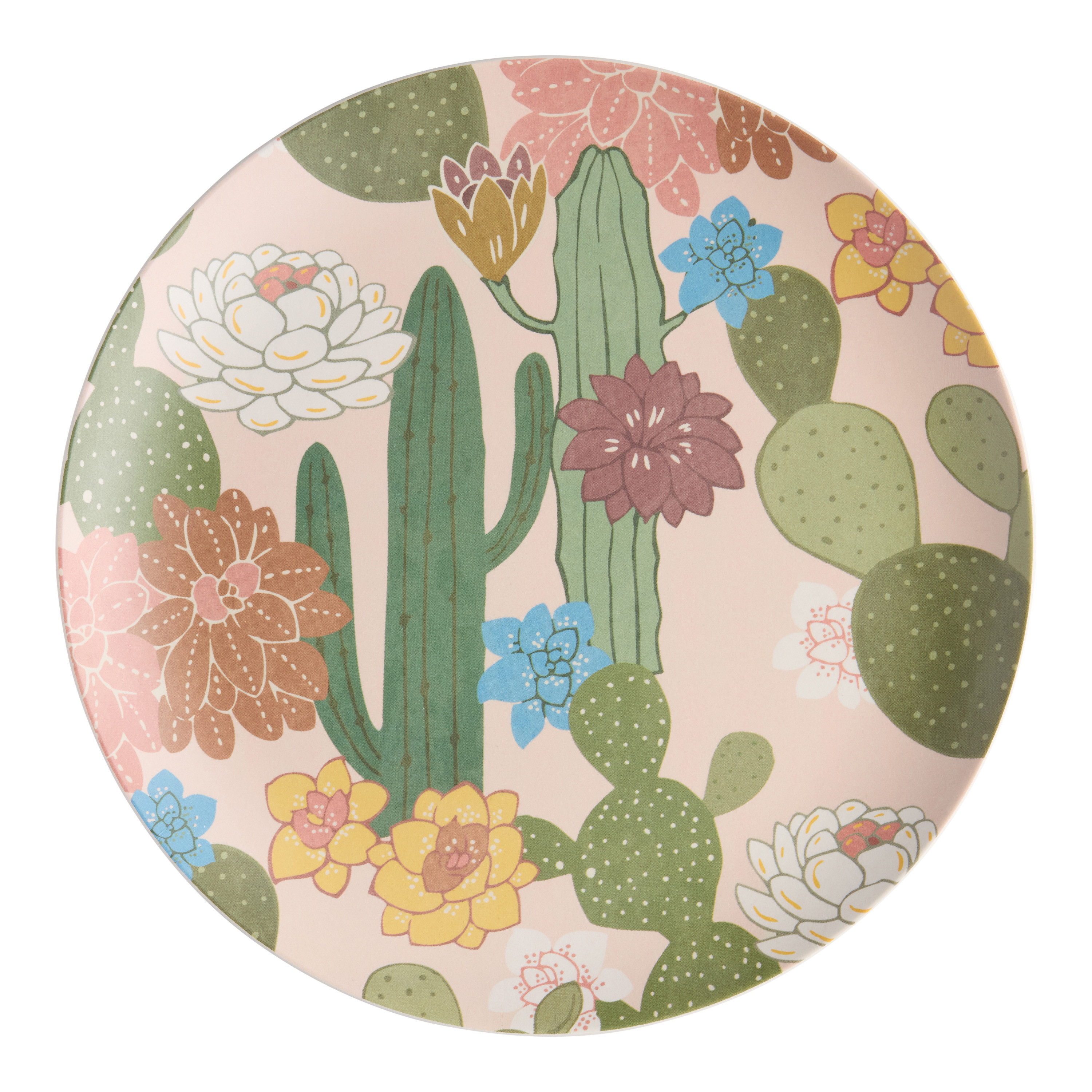 Blush Desert Cacti Melamine Salad Plate | World Market