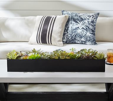 Composed Succulent Arrangement In Black Metal Trough | Pottery Barn (US)