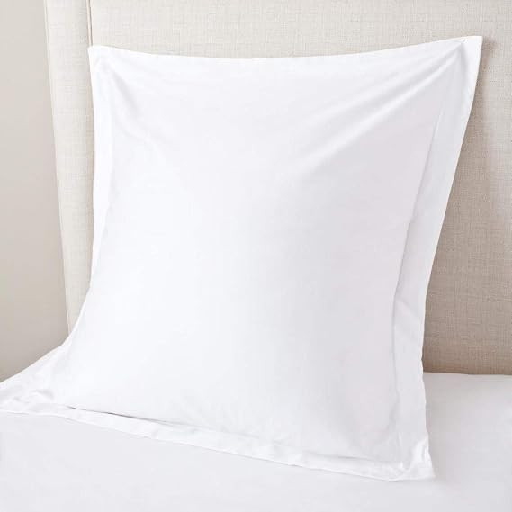 Euro Sham Covers 24x24 Set of 2 White 600 Thread Count 100% Egyptian Cotton Pack of 2 Euro 24x24 ... | Amazon (US)