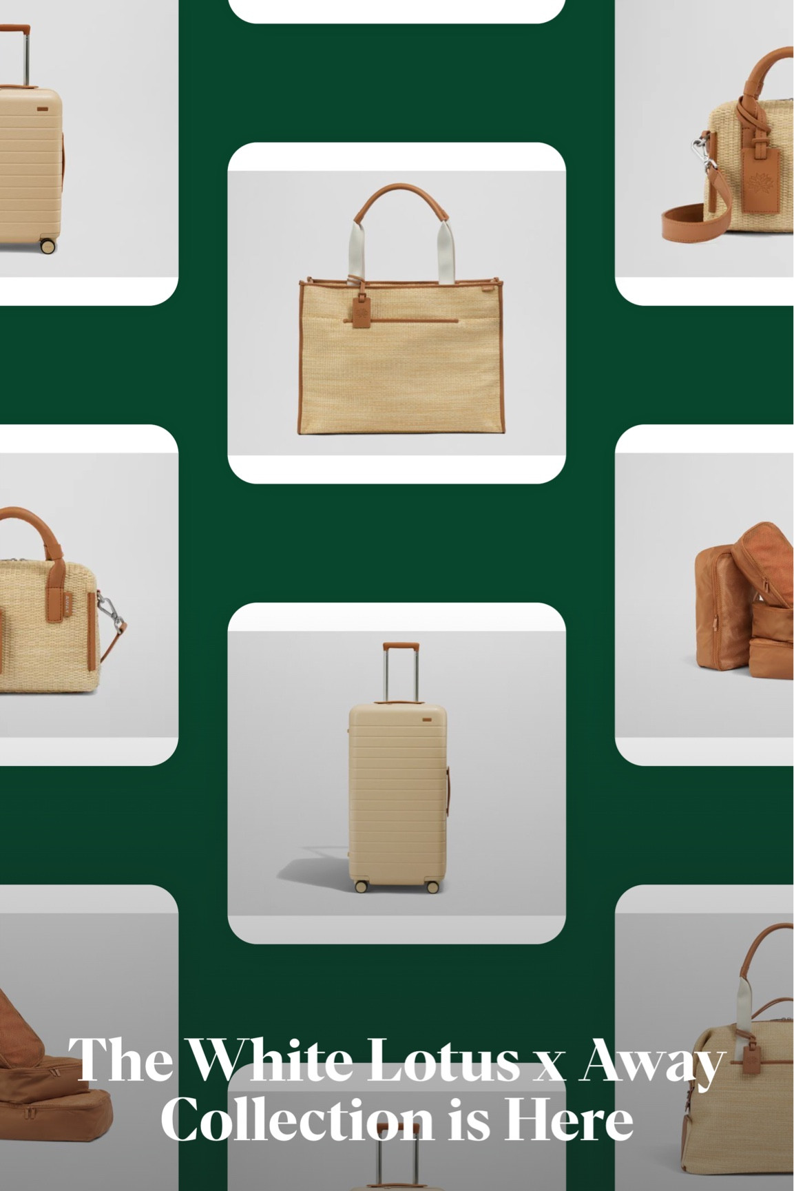 Okay, this new collection from Away is ✨stunning✨

#LTKSeasonal #LTKMostLoved #LTKTravel