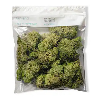 Ashland® Reindeer Moss | Michaels Stores