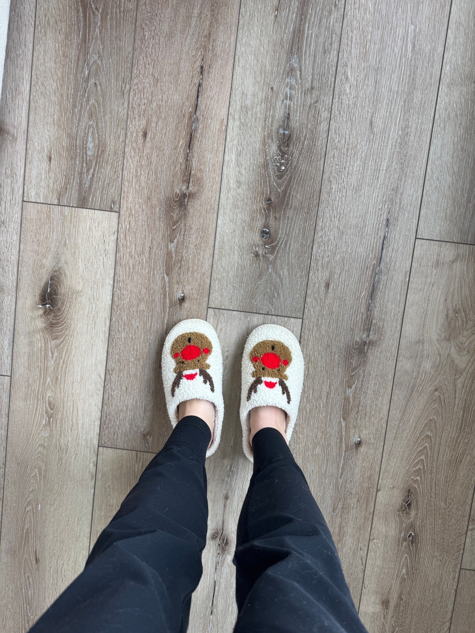 It’s officially Christmas szn in our house 🦌🎄🎅