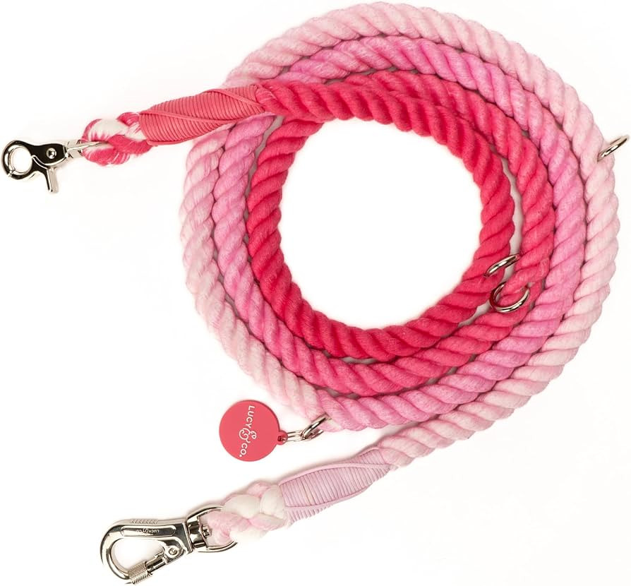 Lucy & Co. Cupid’s Crush Ombre Pink Hands-Free Leash for Large, Medium, & Small Sized Dogs – ... | Amazon (US)