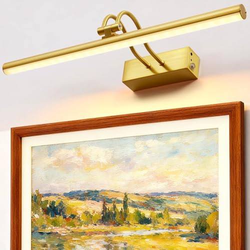 RAIFOOLLY Picture Light, 16 Inch Cordless Picture Lights for Wall with Timer and Dimmable, 5000mAh Battery Operated Wall Lights for Display Gallery Painting Art Frame Portrait - Plated Gold Metal | Amazon (US)
